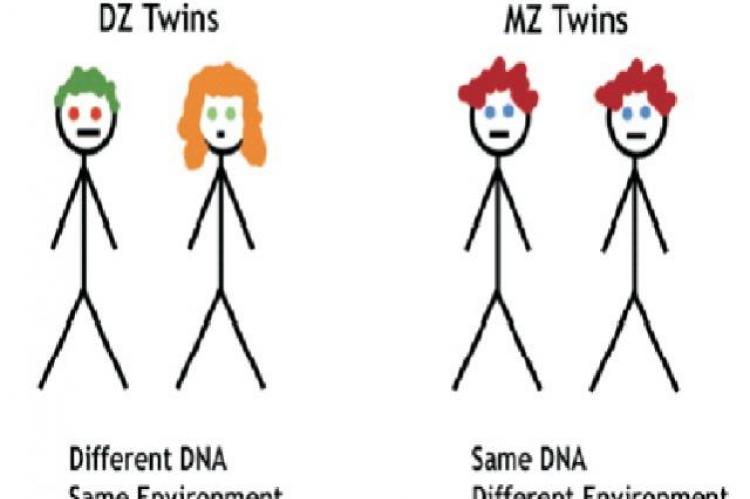 Twin Studies in relation to nature and nurture