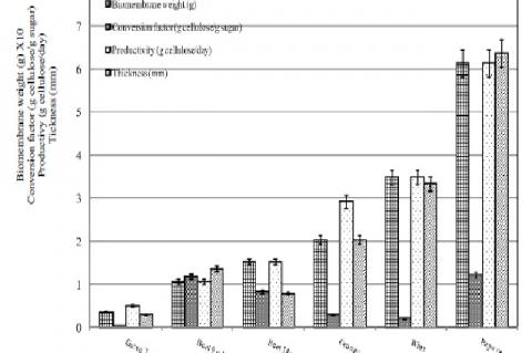 Biomembrane weight (g); productivity (g cellulose/day); conversion factor (g cellulose/ g sugar) and thickness (mm) in the green tea medium (green tea), orange medium (orange), wine (wine medium); papaya (papaya medium); beet 8% (beet medium with 8% v/v beet juice) and beet 15% (beet medium with 15% v/v beet juice), 10 days of cultivation, initial pH = 3.5.