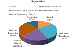 Depression Levels Based on BDI Score